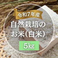 【令和７年産】自然栽培のお米（白米）5kg