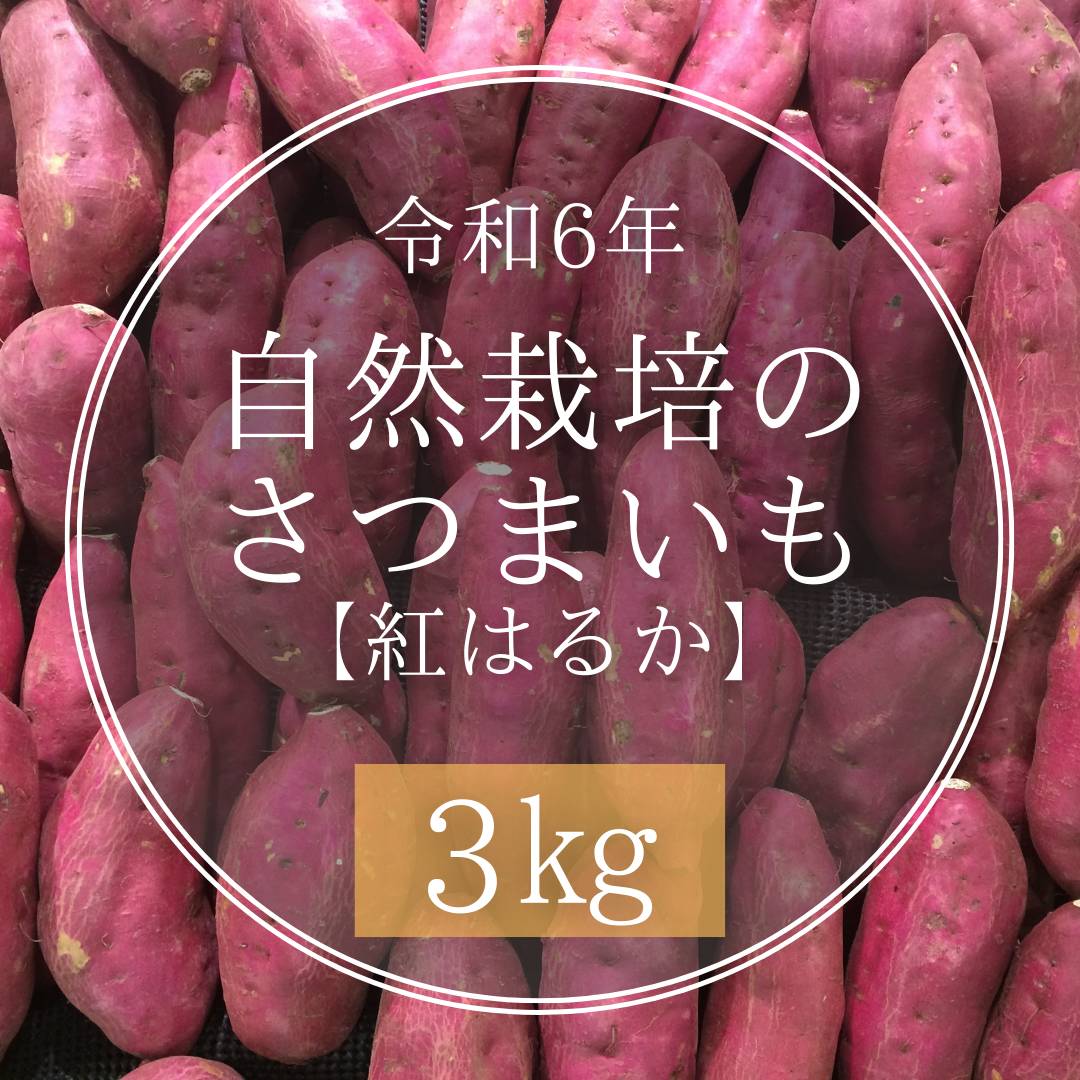 自然栽培さつまいも【紅はるか】3kg | えびのファーム 自然栽培さつまいも【紅はるか】3kg | えびのファーム