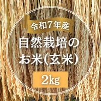 【令和７年産】自然栽培のお米（玄米）2kg