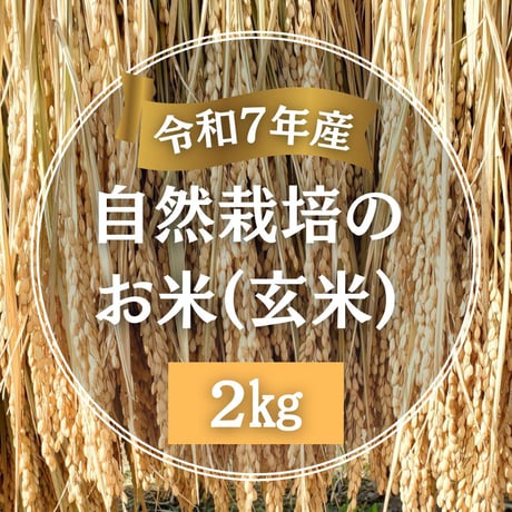 【令和７年産】自然栽培のお米（玄米）2kg
