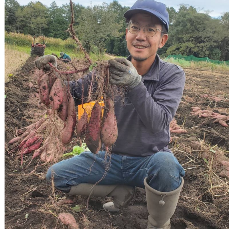 自然栽培さつまいも【紅はるか】3kg | えびのファーム 自然栽培さつまいも【紅はるか】3kg | えびのファーム