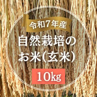 【令和７年産】自然栽培のお米（玄米）10kg