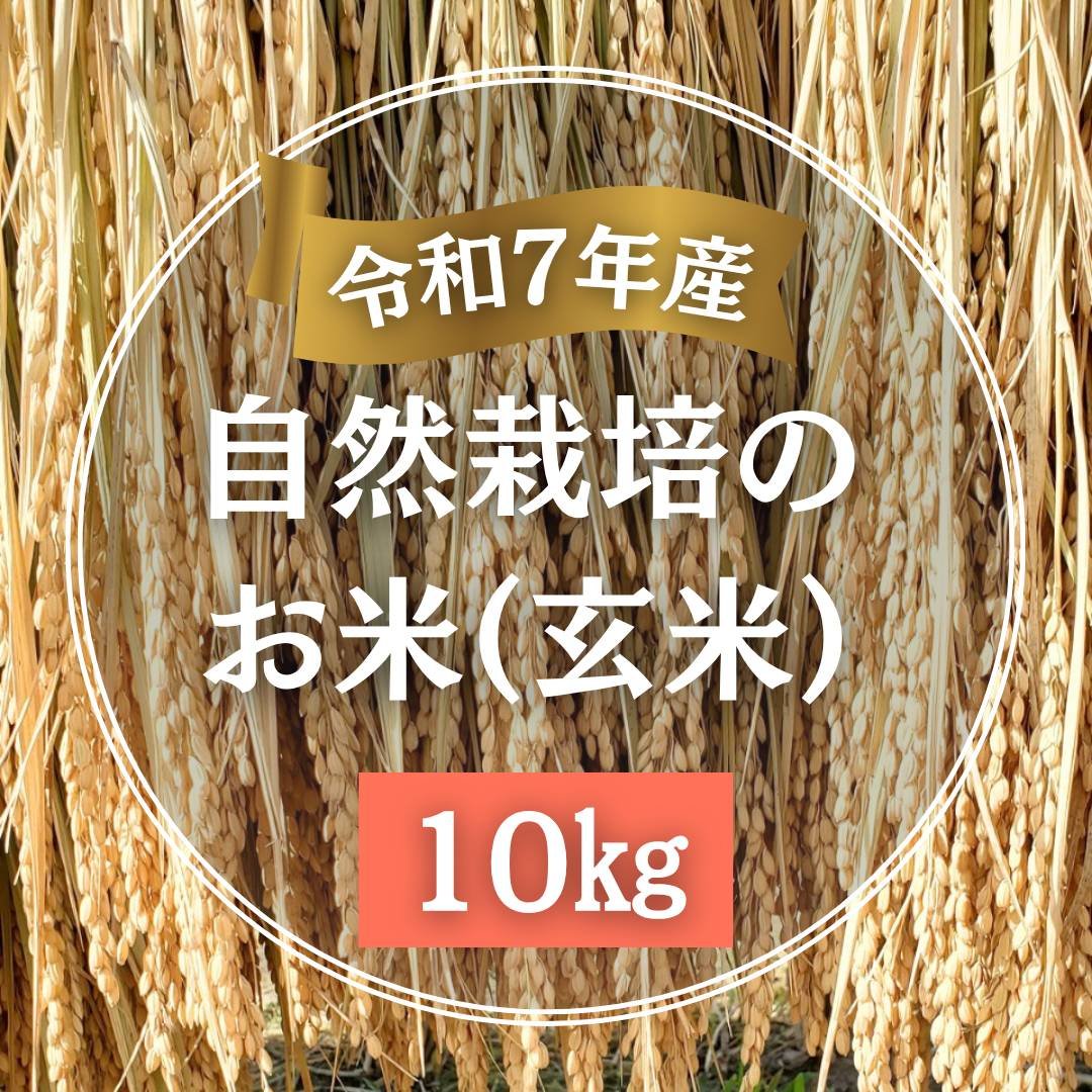 令和7年産】自然栽培のお米（玄米）10kg | えびのファーム