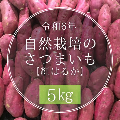 【定期便購入者限定】定期便に追加