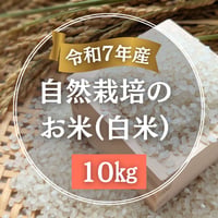 【令和７年産】自然栽培のお米（白米）10kg