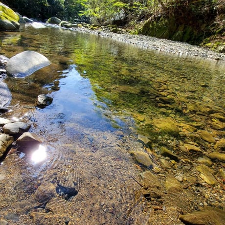 【令和７年産】自然栽培のお米（玄米）2kg