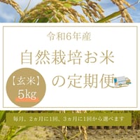 ※ご予約限定　自然栽培　お米の定期便（玄米）5kg