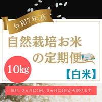 ★【ご予約限定】　R7年産お米の定期便（白米）10kg