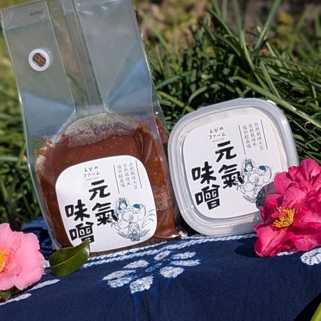 【数量限定生産】天然醸造木樽仕込み　元氣味噌