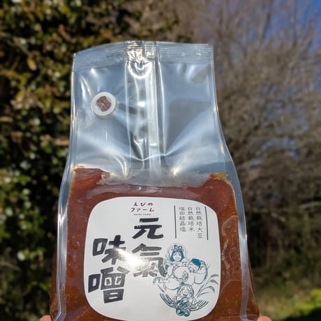 【数量限定生産】天然醸造木樽仕込み　元氣味噌
