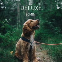 アニマル  エンドスコープ＆ヒーリング&コミュニケーション　DELUXE 90分