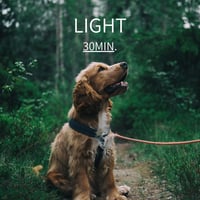アニマル エンドスコープ・ヒーリング&コミュニケーション　LIGHT 30分