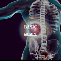 ヒューマン エンドスコープ・ヒーリング　BASIC 60分