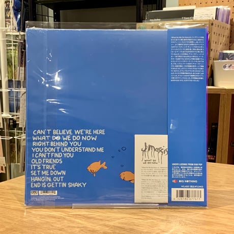 J Mascis / What Do We Do Now (国内LP - Clear Purple Vinyl)