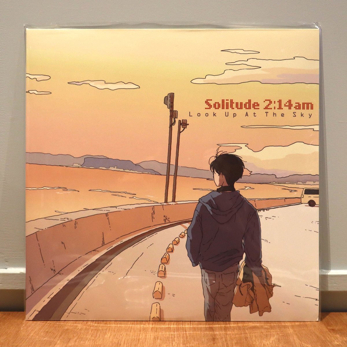 Solitude 2:14am / Look Up At The Sky (LP) | ヨムキ
