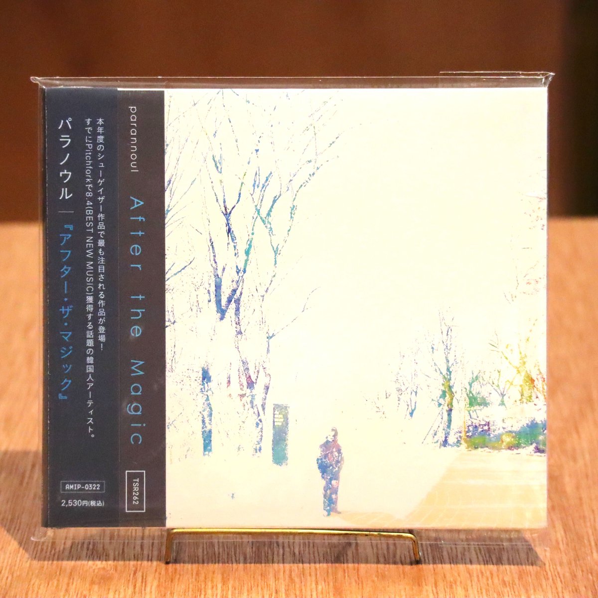 Parannoul 2LP アナログ レコード To See the Next Part of the