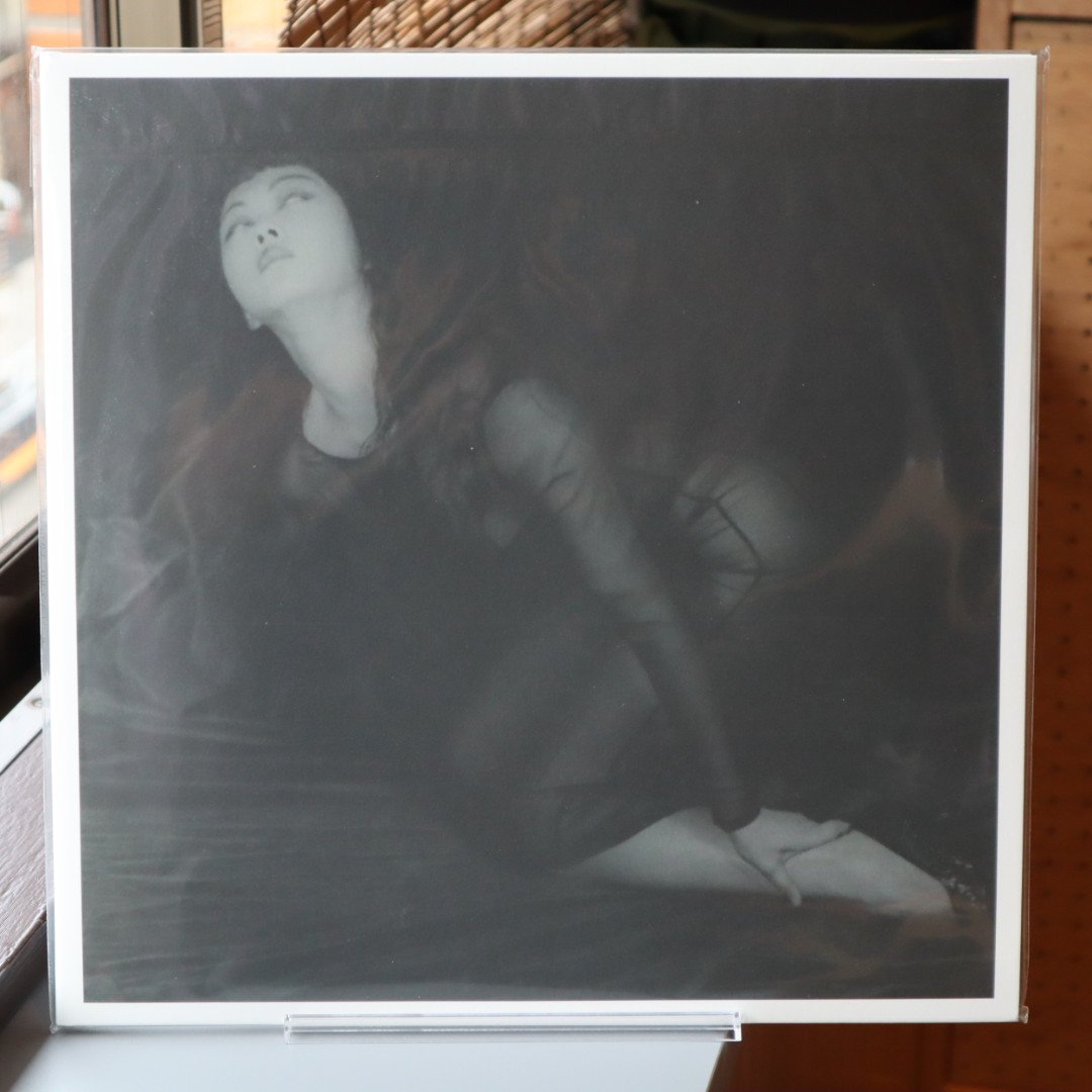 未使用品 レコード　TOMO AKIKAWABAYA　THE CASTLE II TOMO AKIKAWABAYA (秋川早 友) / THE CASTLE II（LP） |