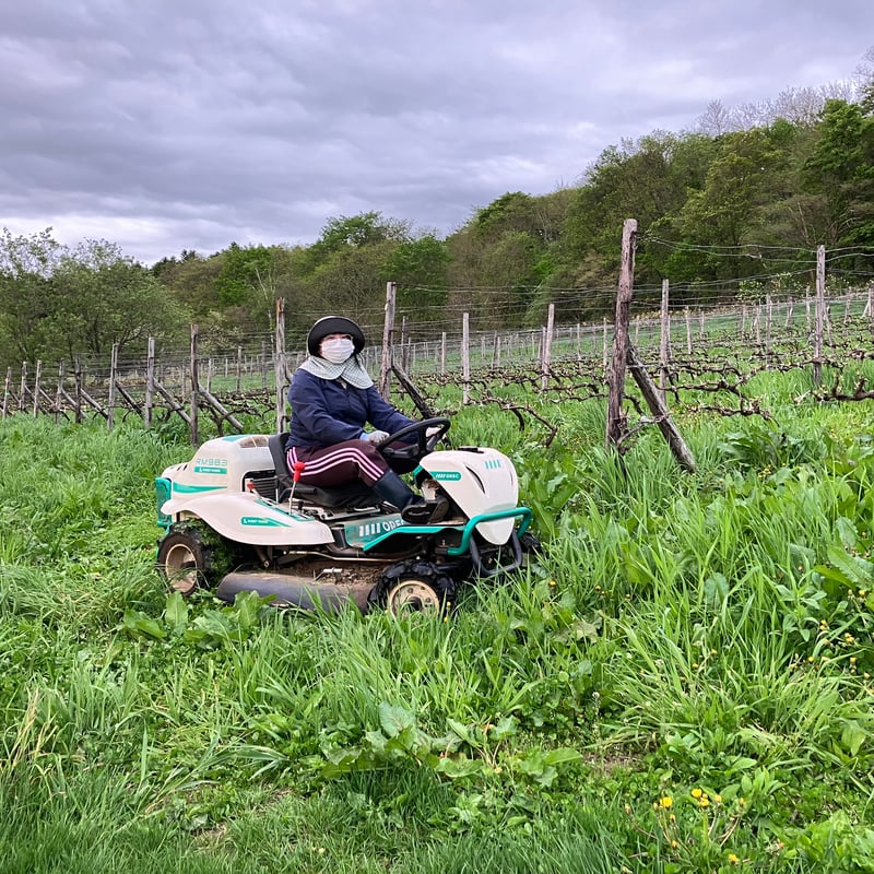 北海道砂川市産ソーヴィニヨン・ブラン100％ワイン 1本 Grace du Ranch