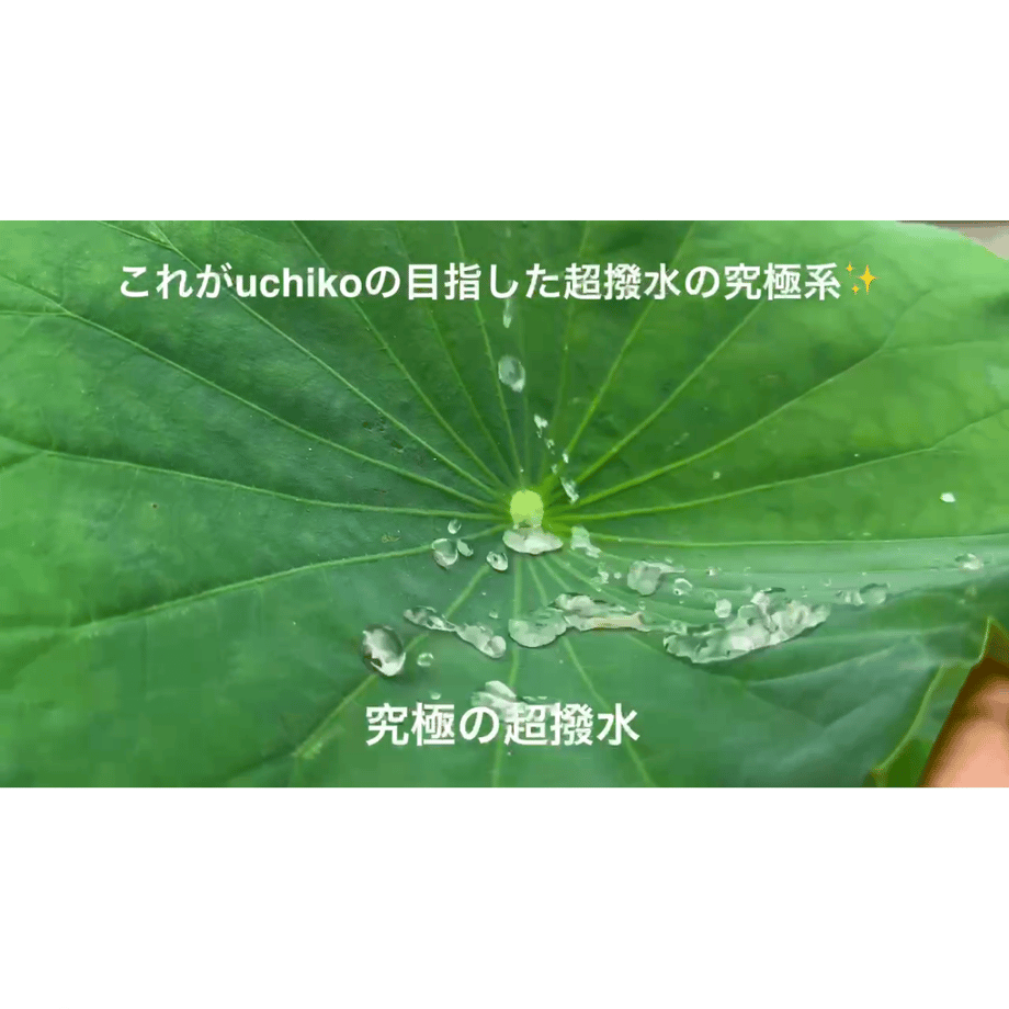 673293b6dfdb470b67a7602b