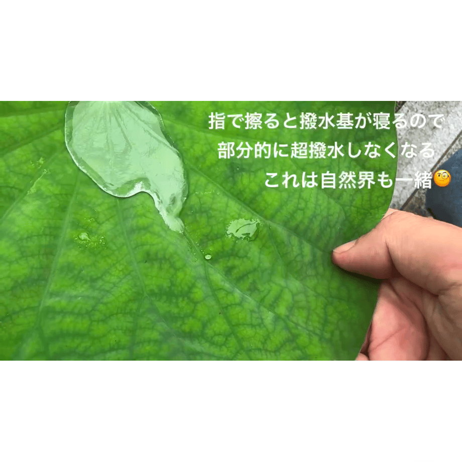 673293b6dfdb470b67a7602b