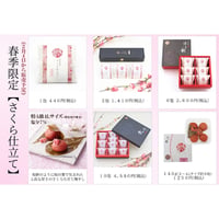 【春季限定】梅干し さくら仕立て