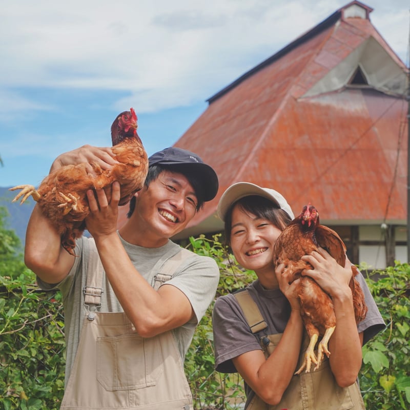 走り回る！平飼い放牧卵・12個】走って、発酵飼料を食べて、谷川天然水