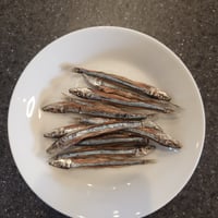 国産　きびなご