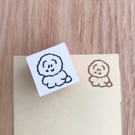 ビションフリーゼ | STORES