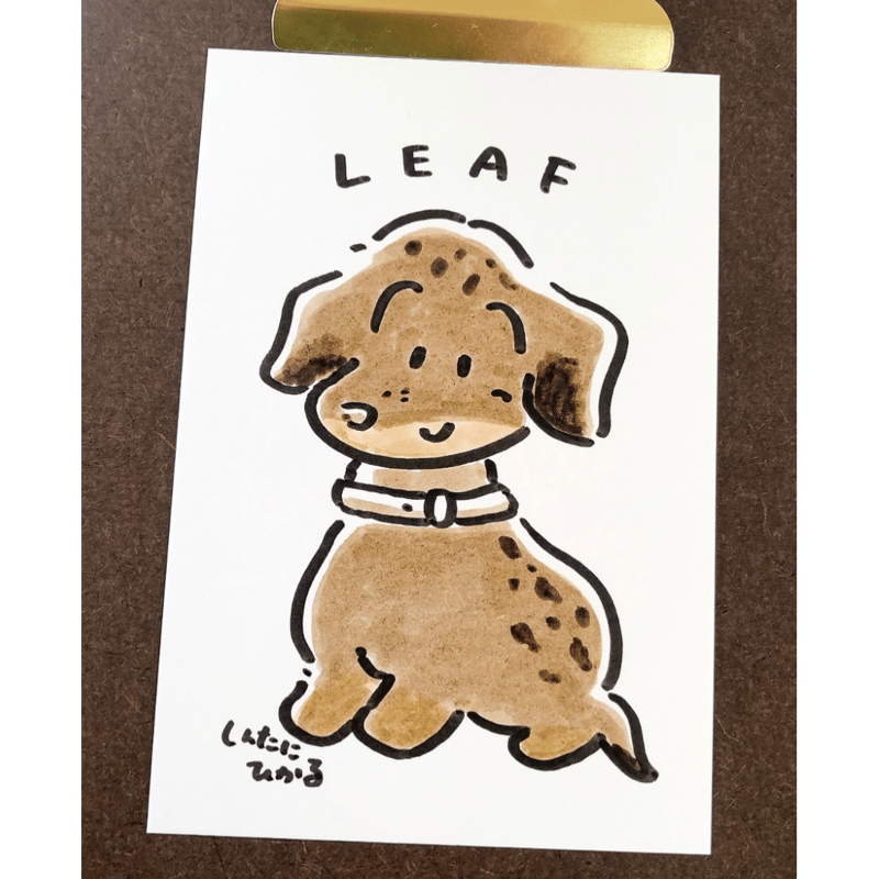 うちのこ似顔絵 | しんたにひかる