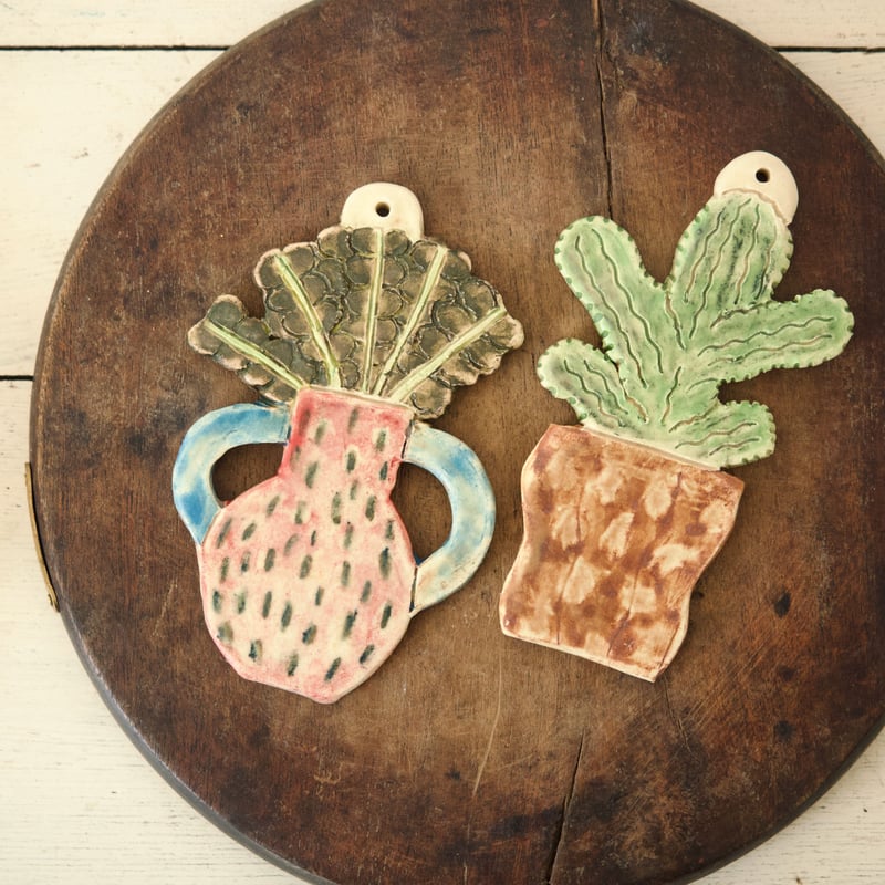 壁掛け陶器プレート Cactus albispina Cactus Accent Plate – Anne Sidora