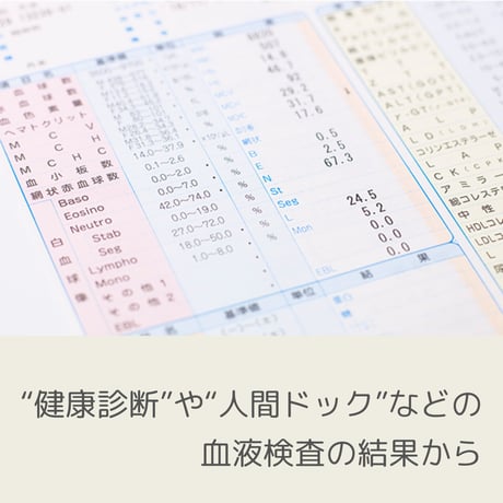 血液検査でカラダのSOS発見！分子栄養学サポート(税込)
