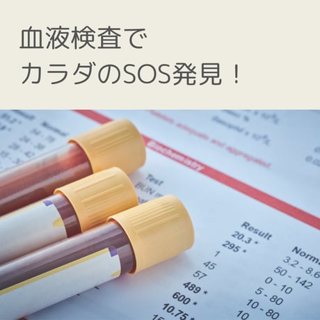 血液検査でカラダのSOS発見！分子栄養学サポート(税込)