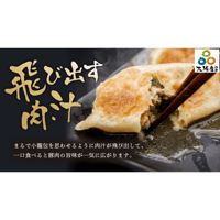 絶品肉汁餃子（冷凍生・焼き餃子）