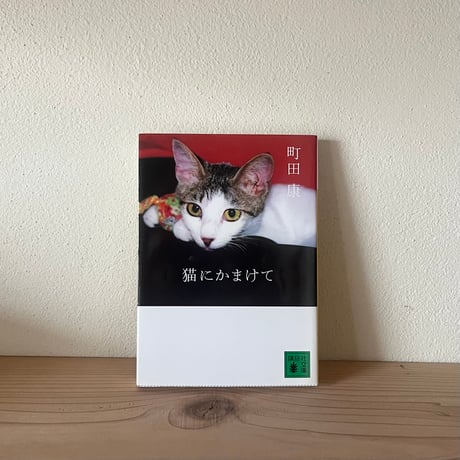 猫本 | STORES
