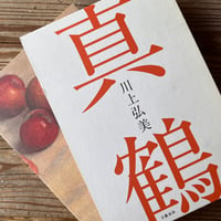 真鶴｜川上 弘美