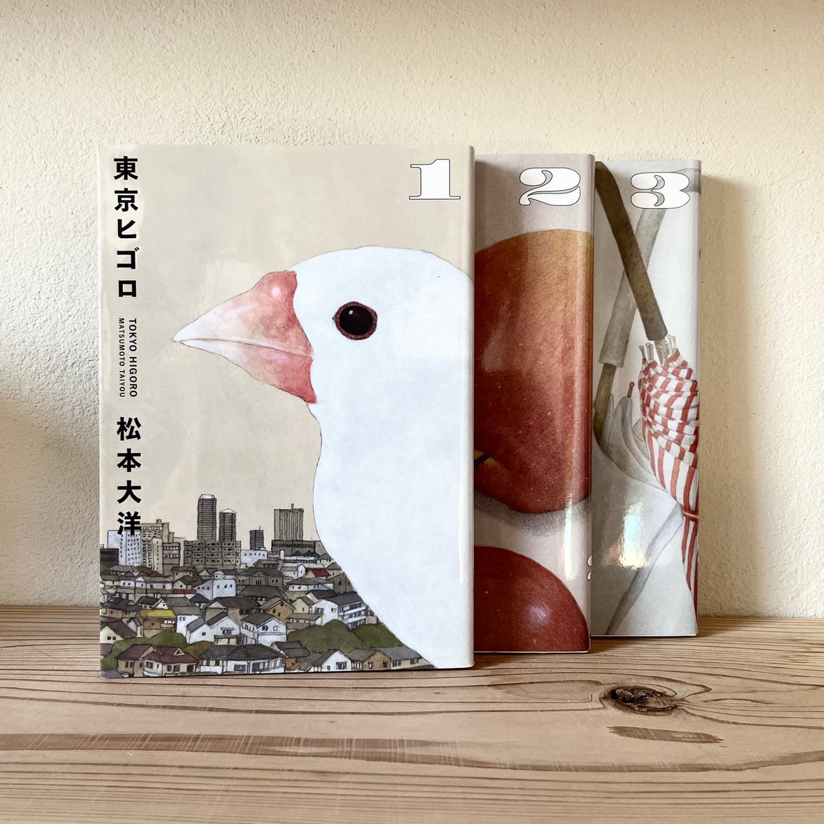 東京ヒゴロ 全3巻 ｜ 松本 大洋 | 古書 猫も杓子も
