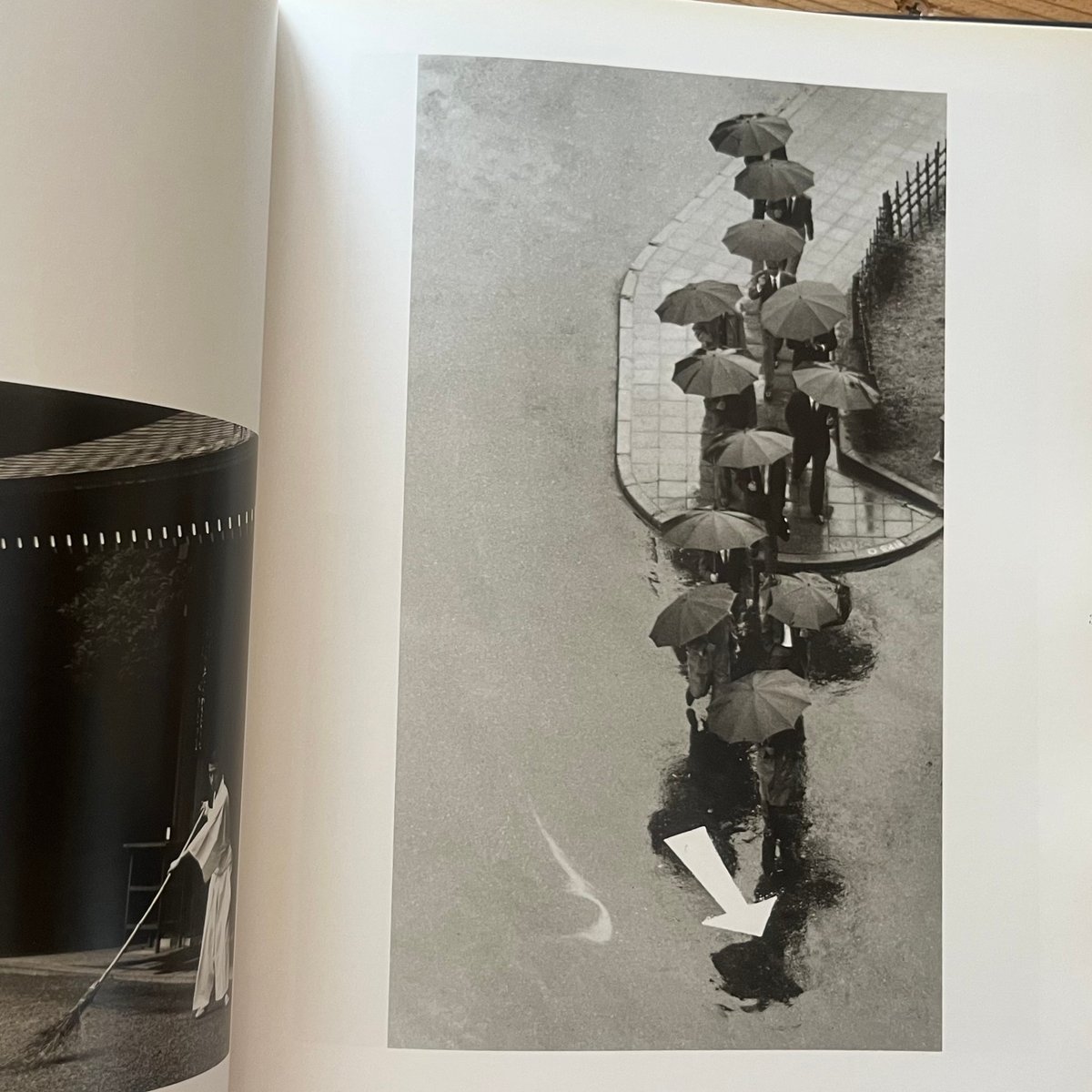 Andre Kertesz: His Life and Work（アンドレ・ケルテス）｜Pie