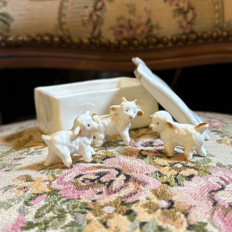 ボーンチャイナ | STORES