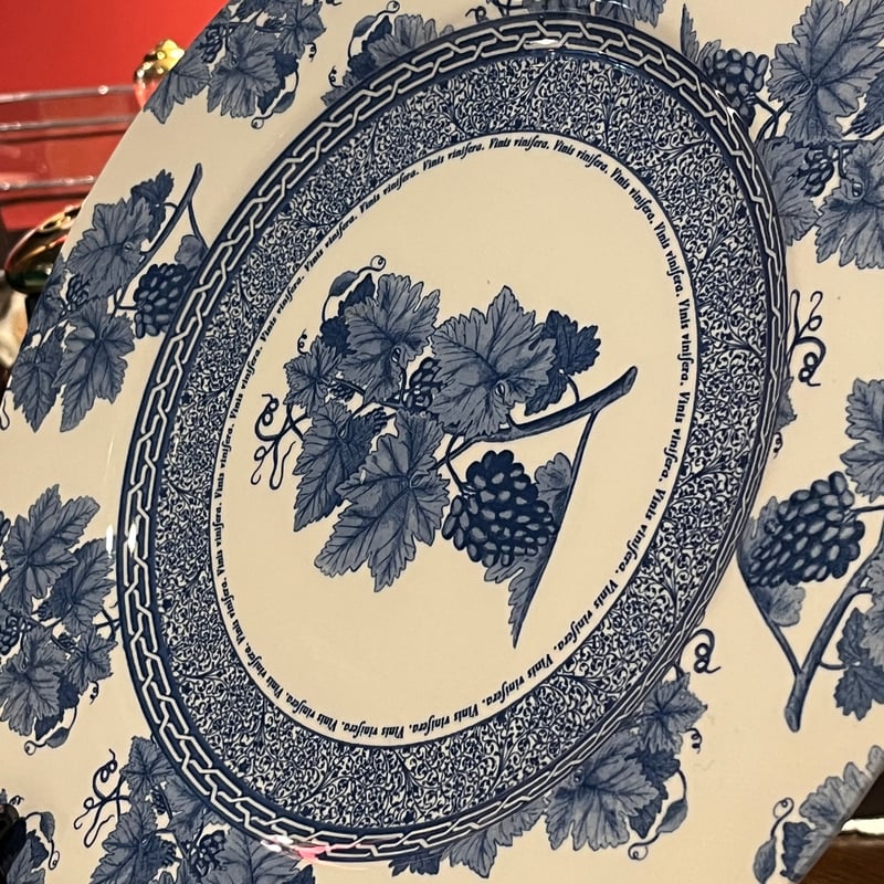 ウェッジウッド  VintageBlue 皿 5枚セット ウェッジウッド Wedgwood VintageBlue 皿 5枚セット