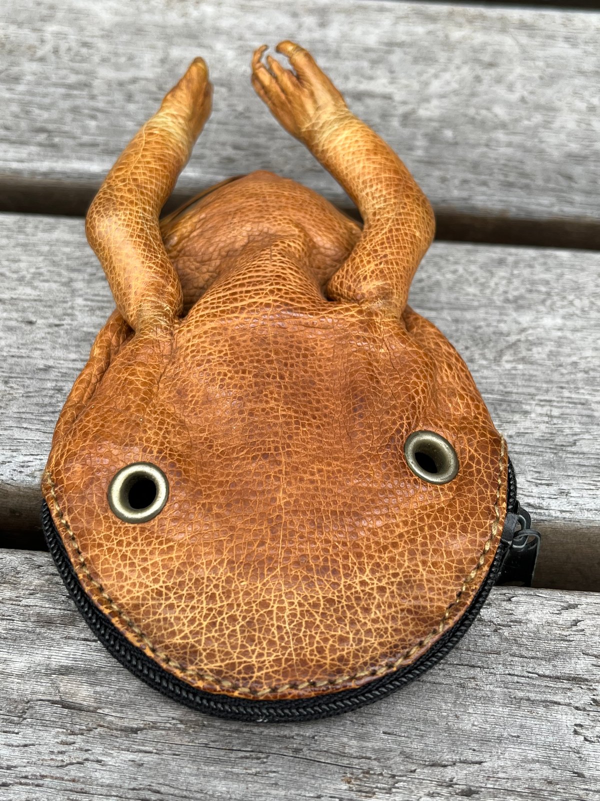 珍品★本物カエル革財布 珍品！蛙の剥製！ガマ口財布 （本物） | アンティーク家具と喫茶