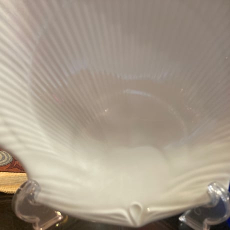WEDGWOOD ノーチラスコレクション　シェル大