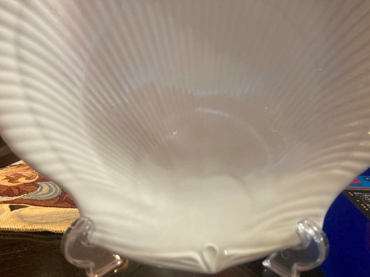 WEDGWOOD ノーチラスコレクション シェル大 | アンティーク家具と喫茶