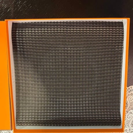 HERMES エルメス　アフリカシリーズ　大皿　2枚セット　箱付き