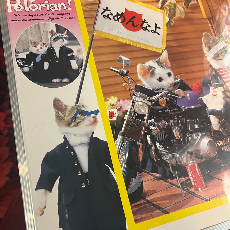 【鏡 なめ猫 ～なめんなよ～ DON´T PELORIAN 壁掛け 】昭和　平成 Amazon.co.jp: なめ猫 レトロ なめんなよ猫 下敷き ！ : おもちゃ