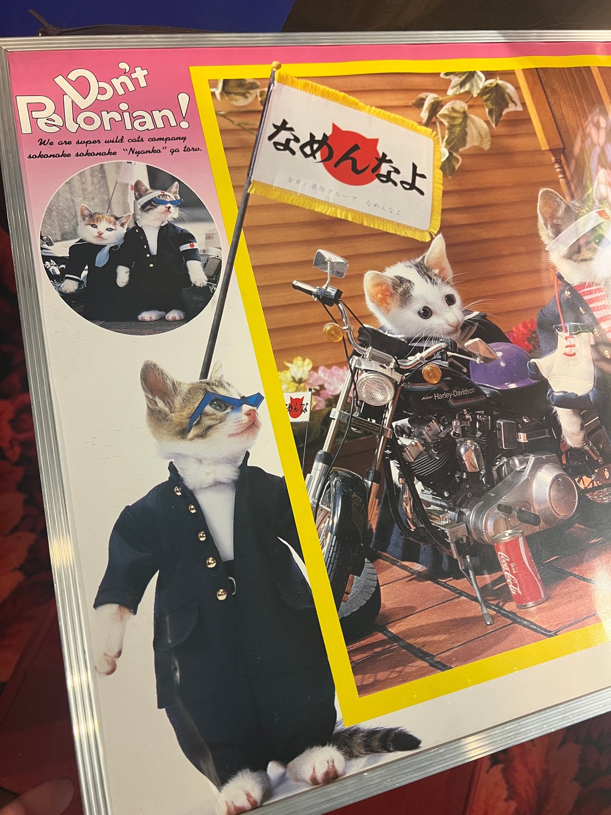 なめ猫 なめんなよ ポスター 4種 当時物 現状品 希少品 レトロ Amazon.co.jp: なめ猫 ポスター 外枠付き4枚セット 当時物 レア