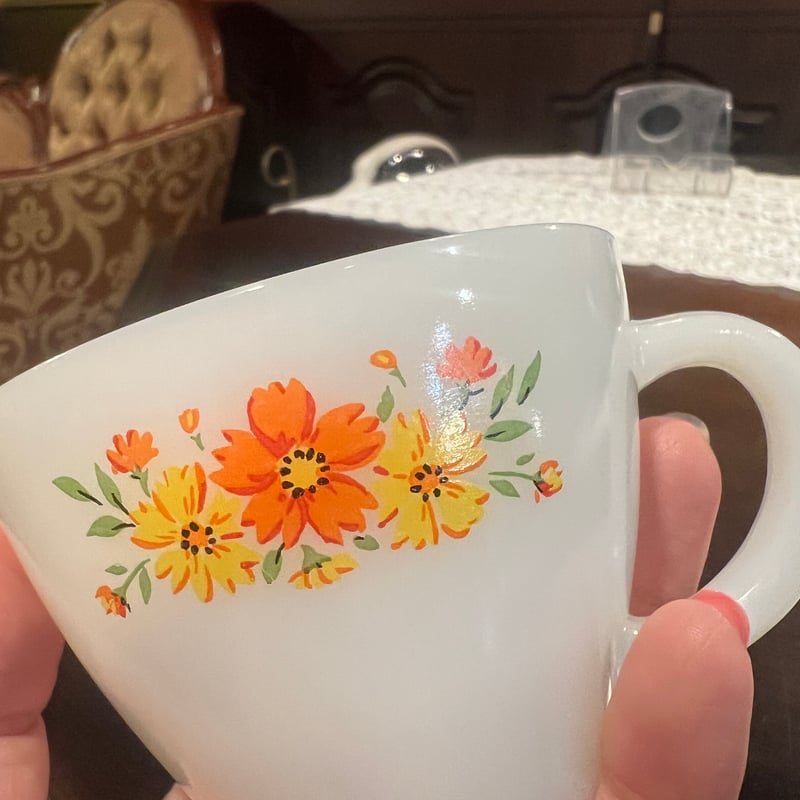 firekingファイヤーキング シーブスオブウィート ソーサー2枚