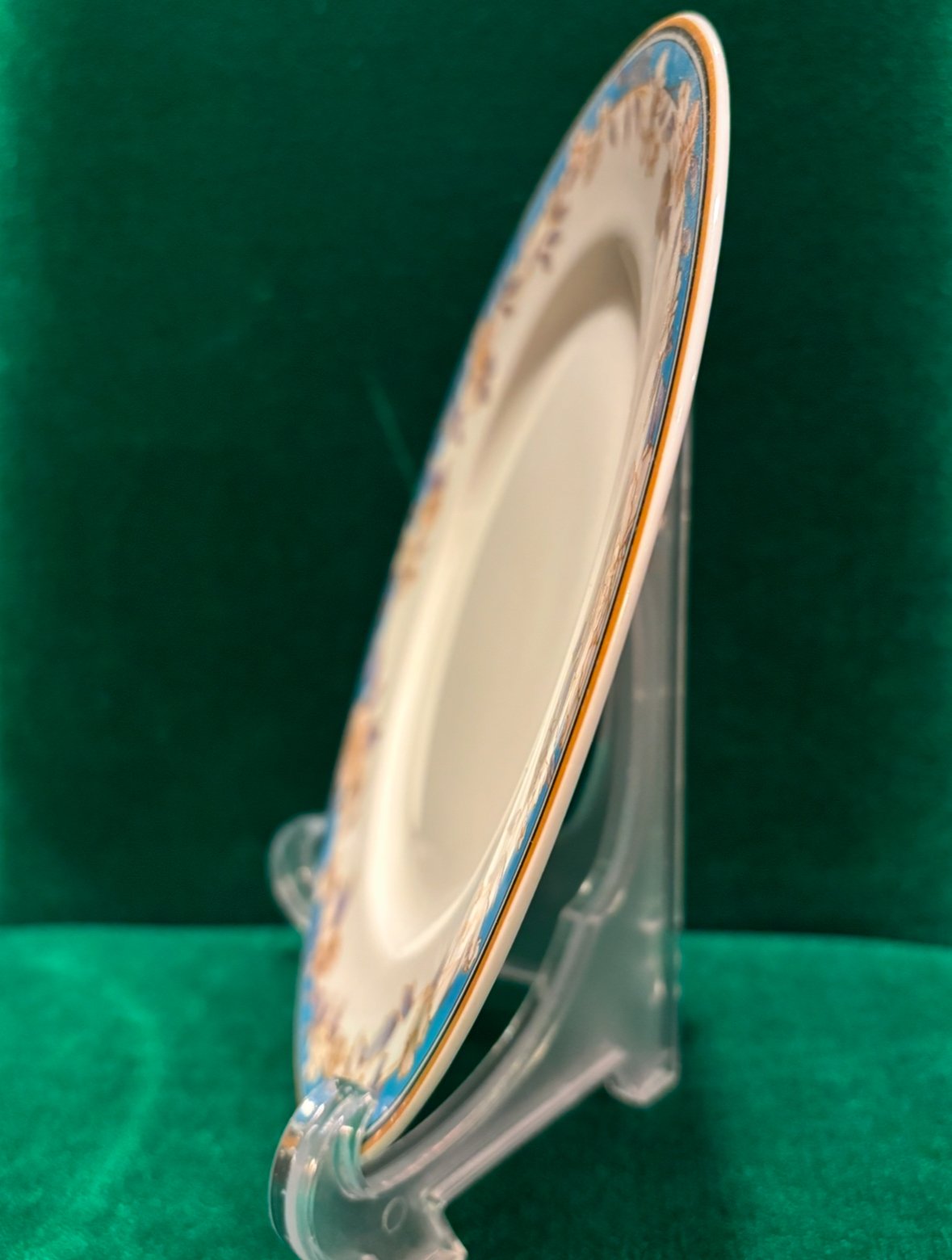 ドイツ製 Hutschenreuther Bone China INDIGO LEONARD
