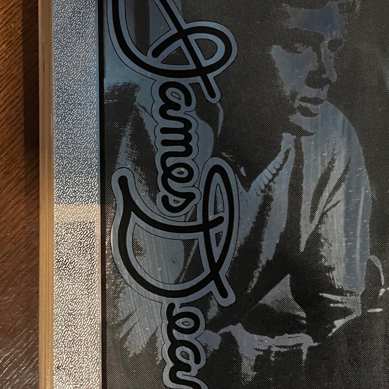 【超激レア】昭和レトロミラー　ジェームスディーン　超貴重ミラーパネル ジェームスディーン ミラーパネル パブミラー | アンティーク家具と