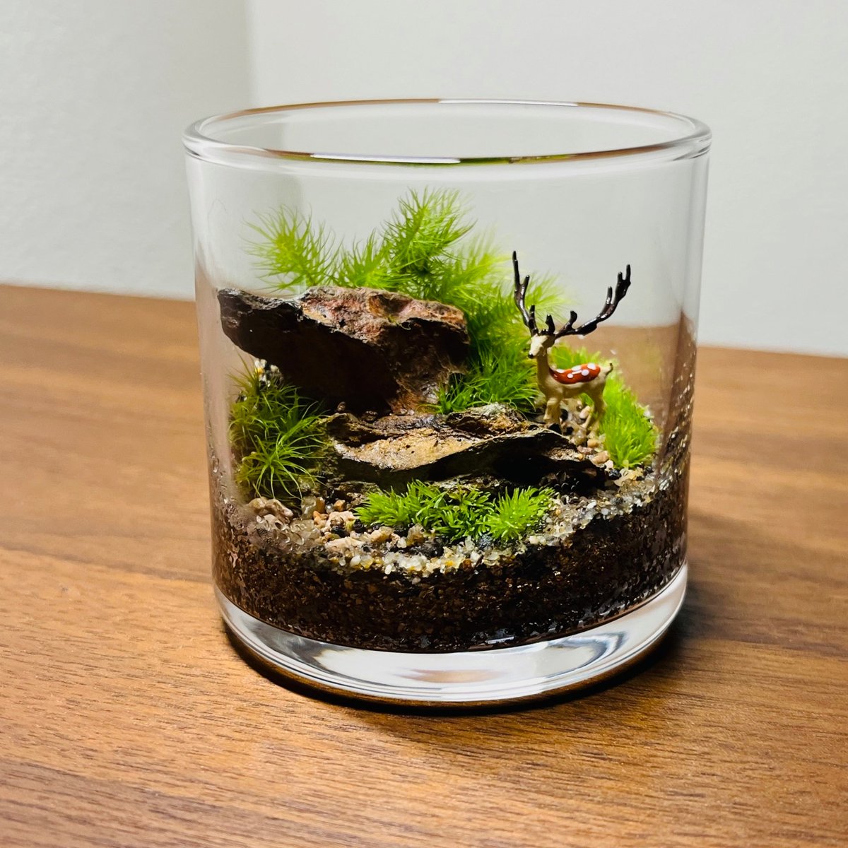 苔テラリウム 遺跡探検 Exploring ancient archeological sites. DOOA NEO GLASS AIR