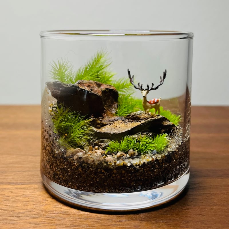 手のひらサイズの苔テラリウム（大角牡鹿・スタンダードカラー） | 苔